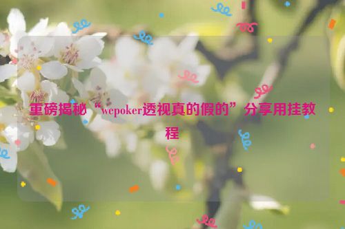 重磅揭秘“wepoker透视真的假的”分享用挂教程