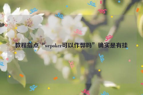教程指点“wepoker可以作弊吗”确实是有挂