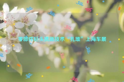 零部件巨头携新技术“扎堆”上海车展