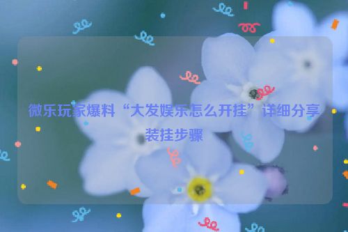微乐玩家爆料“大发娱乐怎么开挂”详细分享装挂步骤