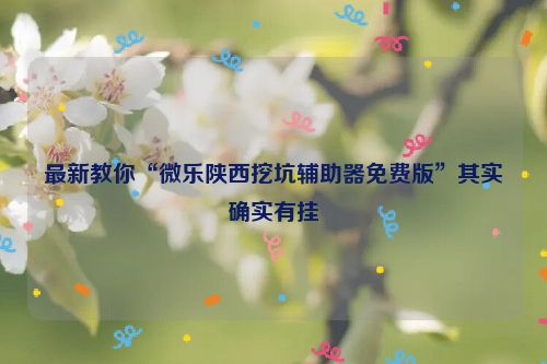 最新教你“微乐陕西挖坑辅助器免费版”其实确实有挂