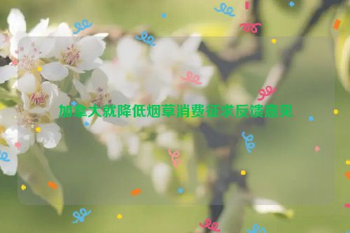 加拿大就降低烟草消费征求反馈意见