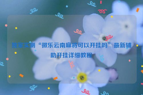 独家实测“微乐云南麻将可以开挂吗”最新辅助开挂详细教程
