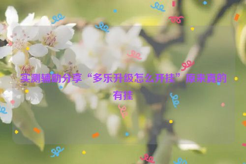 实测辅助分享“多乐升级怎么开挂”原来真的有挂