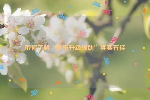 带你了解“多乐升级辅助”其实有挂
