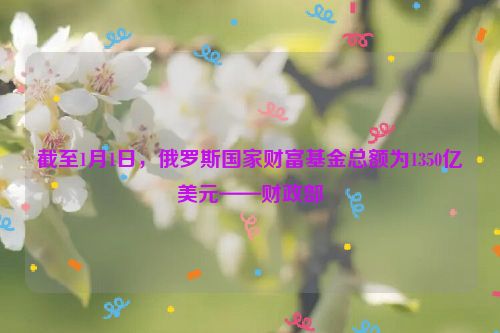 截至1月1日，俄罗斯国家财富基金总额为1350亿美元——财政部