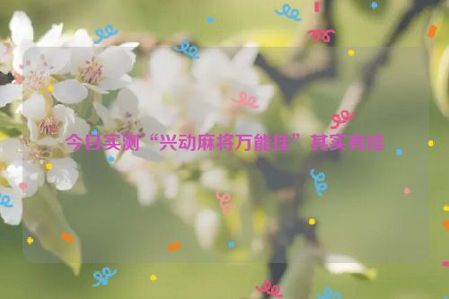 今日实测“兴动麻将万能挂”其实有挂