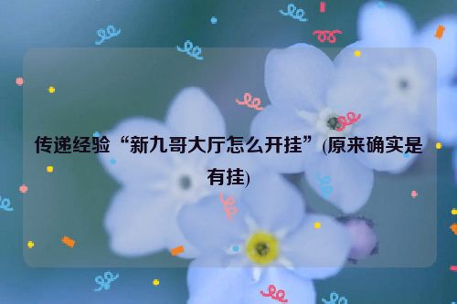 传递经验“新九哥大厅怎么开挂”(原来确实是有挂)