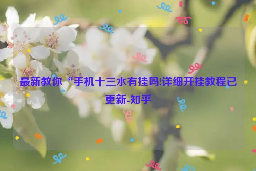 最新教你“手机十三水有挂吗!详细开挂教程已更新-知乎