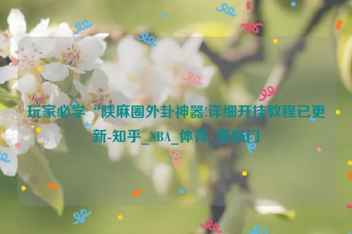 玩家必学“陕麻圈外卦神器!详细开挂教程已更新-知乎_NBA_体育_喜临门