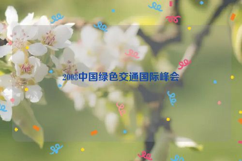 2008中国绿色交通国际峰会