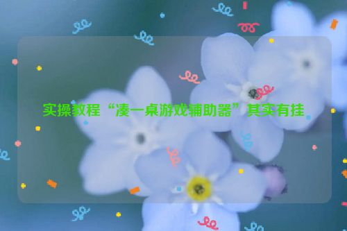 实操教程“凑一桌游戏辅助器”其实有挂