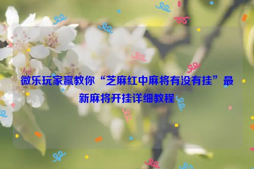 微乐玩家赢教你“芝麻红中麻将有没有挂”最新麻将开挂详细教程