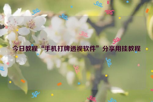 今日教程“手机打牌透视软件”分享用挂教程