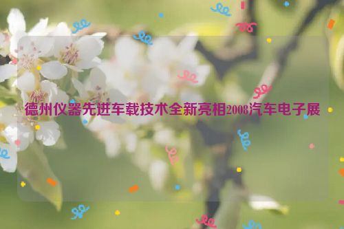 德州仪器先进车载技术全新亮相2008汽车电子展