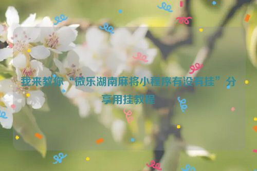 我来教你“微乐湖南麻将小程序有没有挂”分享用挂教程