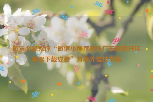 微乐必赢教你“微信小程序微乐广东麻将开挂神器下载安装”分享外挂技术赢