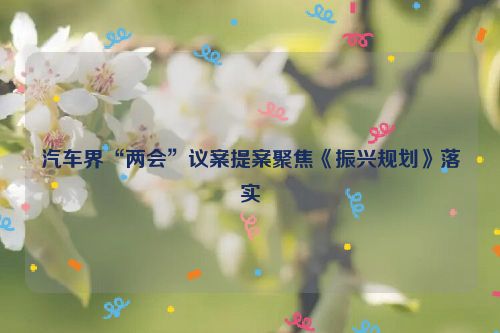 汽车界“两会”议案提案聚焦《振兴规划》落实