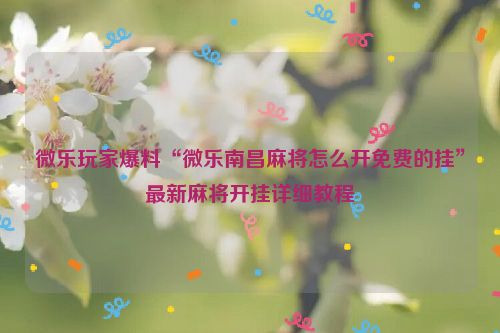 微乐玩家爆料“微乐南昌麻将怎么开免费的挂”最新麻将开挂详细教程