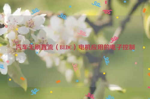 汽车无刷直流（BLDC）电机应用的电子控制