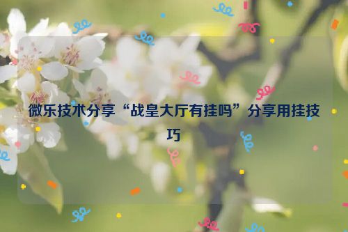 微乐技术分享“战皇大厅有挂吗”分享用挂技巧
