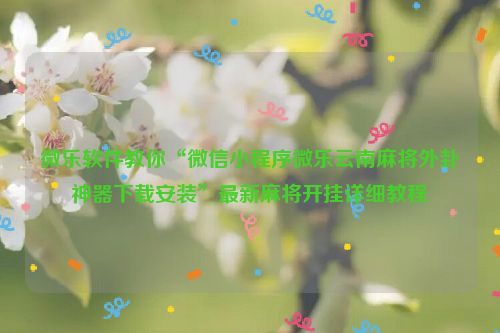 微乐软件教你“微信小程序微乐云南麻将外卦神器下载安装”最新麻将开挂详细教程