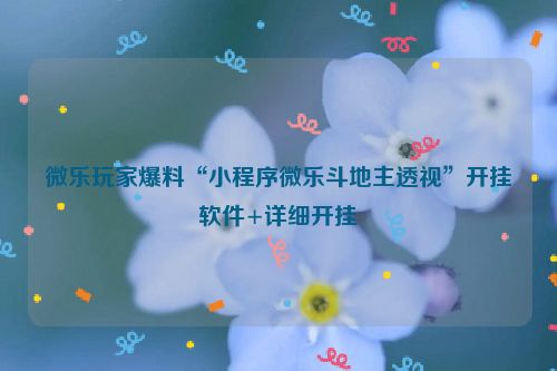 微乐玩家爆料“小程序微乐斗地主透视”开挂软件+详细开挂