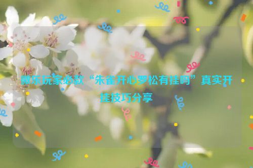 微乐玩家必款“朱雀开心罗松有挂吗”真实开挂技巧分享