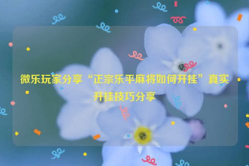 微乐玩家分享“正宗乐平麻将如何开挂”真实开挂技巧分享