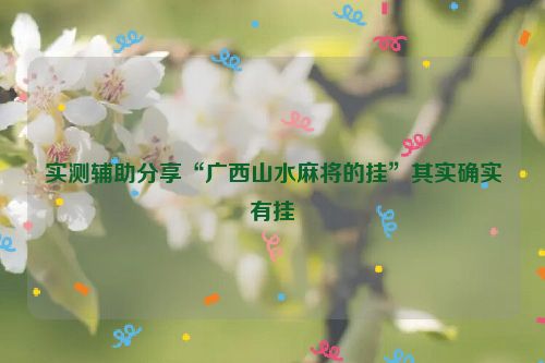 实测辅助分享“广西山水麻将的挂”其实确实有挂