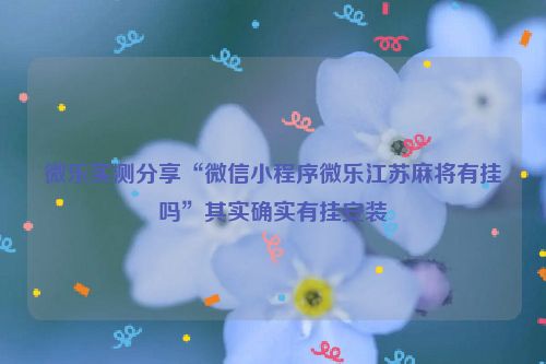 微乐实测分享“微信小程序微乐江苏麻将有挂吗”其实确实有挂安装