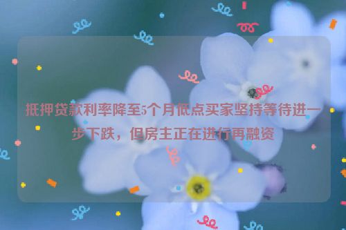 抵押贷款利率降至5个月低点买家坚持等待进一步下跌，但房主正在进行再融资