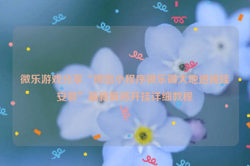 微乐游戏分享“微信小程序微乐锄大地透视挂安装”最新麻将开挂详细教程