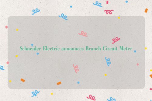 Schneider Electric announces Branch Circuit Meter