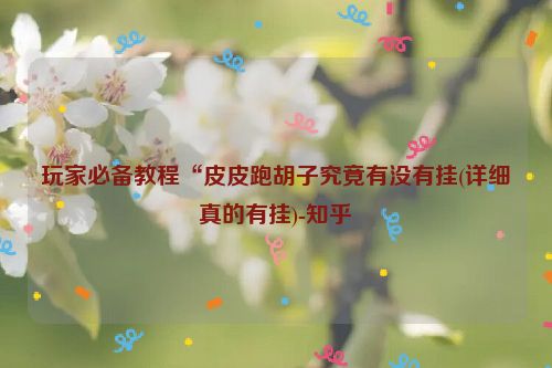 玩家必备教程“皮皮跑胡子究竟有没有挂(详细真的有挂)-知乎