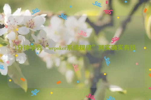 1分钟学会“wepoker系统规律”其实确实有挂