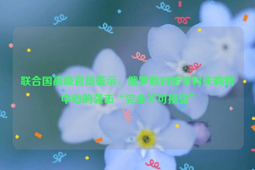 联合国高级官员表示，俄罗斯对哈尔科夫购物中心的袭击“完全不可接受”