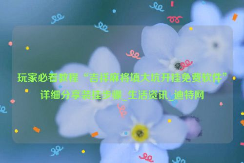 玩家必看教程“吉祥麻将填大坑开挂免费软件”详细分享装挂步骤_生活资讯_迪特网