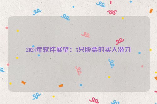 2024年软件展望：3只股票的买入潜力