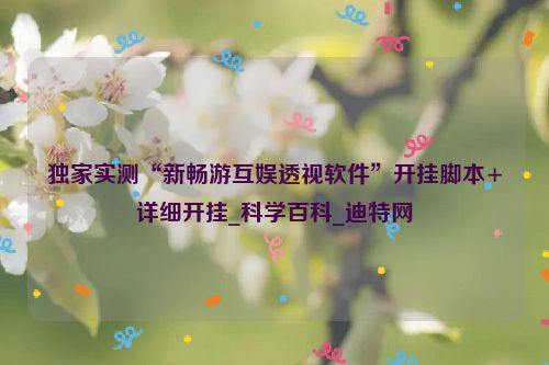 独家实测“新畅游互娱透视软件”开挂脚本+详细开挂_科学百科_迪特网
