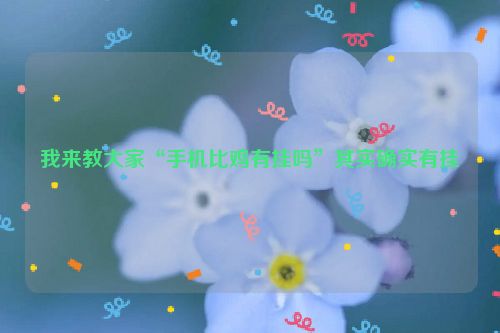我来教大家“手机比鸡有挂吗”其实确实有挂