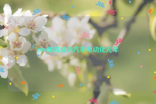 2009年将成为汽车电动化元年