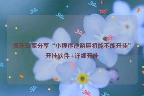 微乐玩家分享“小程序途游麻将能不能开挂”开挂软件+详细开挂