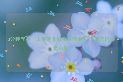 3分钟学会“大宝苏北麻将开挂视频”(原来确实是有挂)