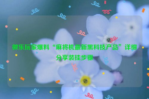 微乐玩家爆料“麻将机最新黑科技产品”详细分享装挂步骤