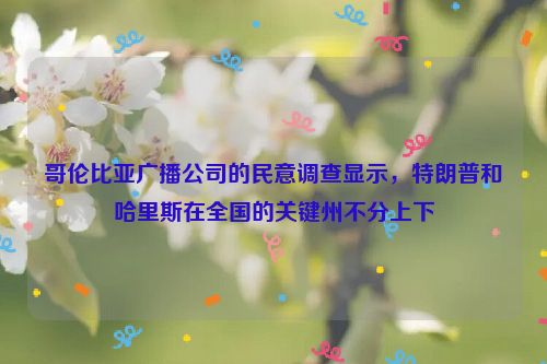 哥伦比亚广播公司的民意调查显示，特朗普和哈里斯在全国的关键州不分上下