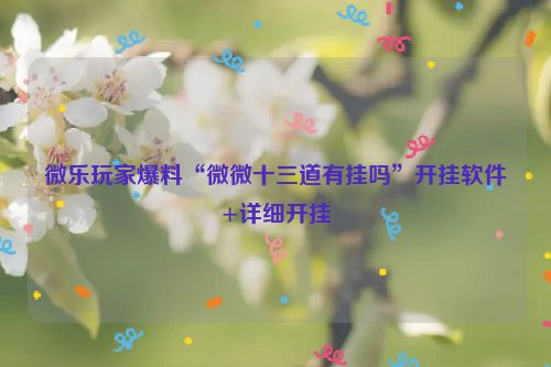微乐玩家爆料“微微十三道有挂吗”开挂软件+详细开挂
