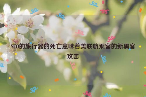 SFO的旅行器的死亡意味着美联航乘客的新黑客攻击