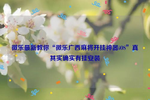 微乐最新教你“微乐广西麻将开挂神器iOS”真其实确实有挂安装
