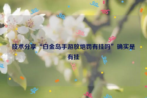 技术分享“白金岛手游放炮罚有挂吗”确实是有挂